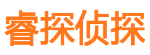 安居市私家侦探